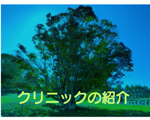クラブについて